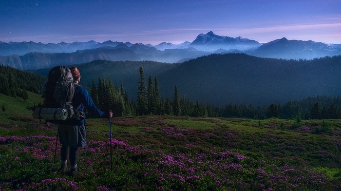 Washington state, landscape, forest, sunrise, backpacks, hiking, mist, stars, spring, nature, wildflowers, snowy peak, mountain