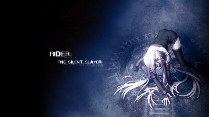 Rider FateStay Night, fate series