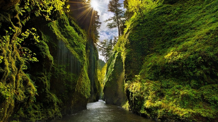 landscape, sunlight, Iceland, canyon, green, valley, moss, nature, sun rays, shrubs, river, trees, Oregon, waterfall