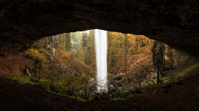 cave, forest, waterfall