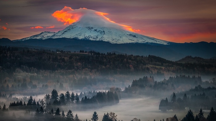 volcano, sunset, sky, trees, Oregon, mist, forest, nature, snowy peak, landscape, mountain