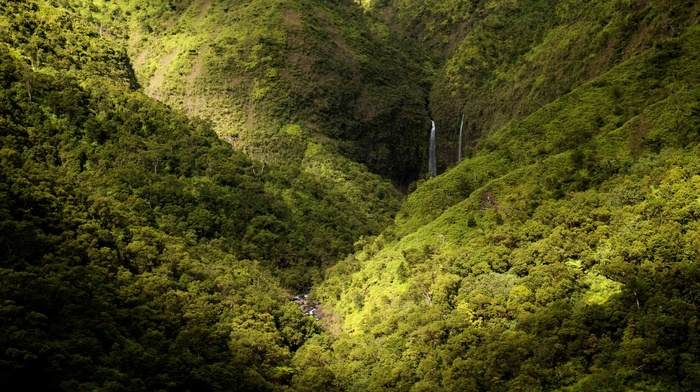 spring, landscape, waterfall, Kauai, nature, forest, green, mountain
