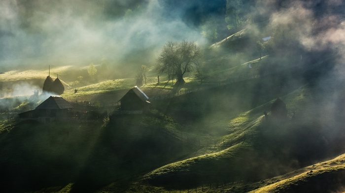 Romania, fence, sunrise, nature, house, trees, fairy tale, village, landscape, hill, grass, mist