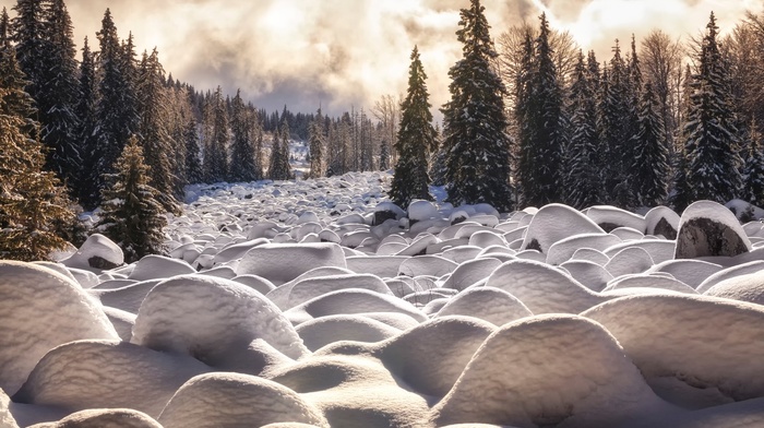 landscape, winter, nature, snow