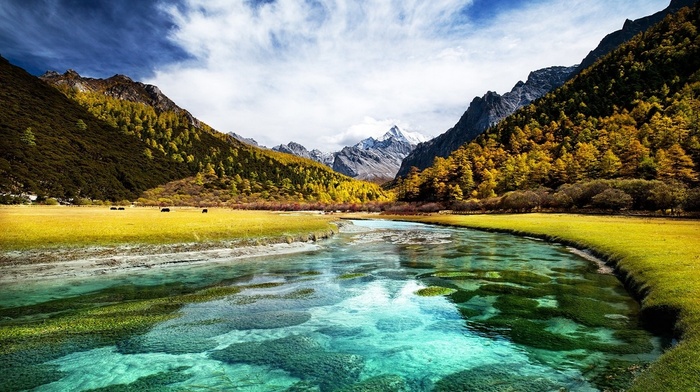 Tibet, water, clouds, fall, turquoise, river, mountain, trees, nature, snowy peak, grass, forest, landscape