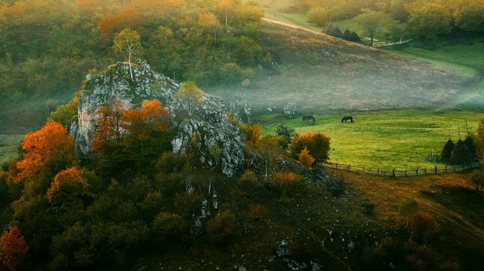 morning, hut, trees, nature, grass, fence, horse, mist, forest, fall, rock, sunrise, Romania, landscape