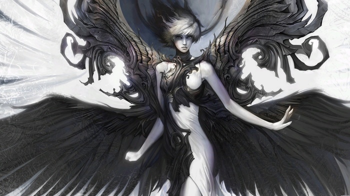fantasy art, wings, girl, white, black