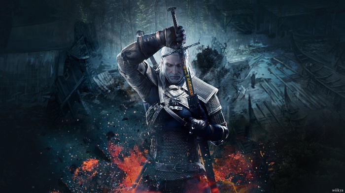 The Witcher