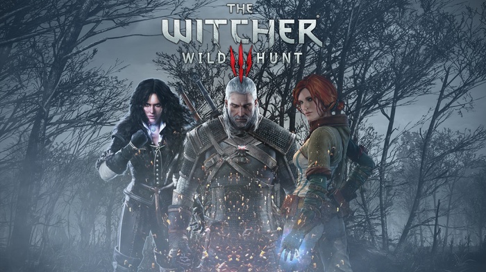 The Witcher