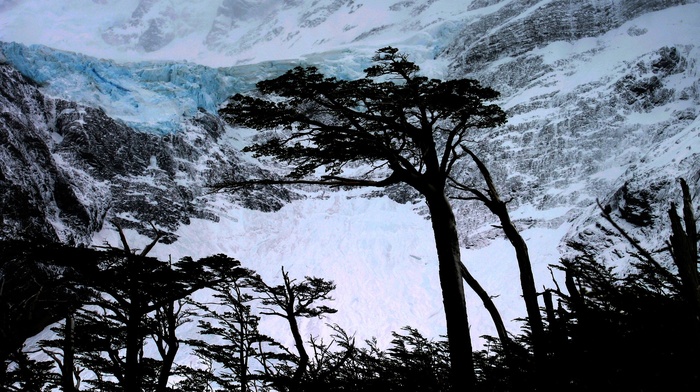winter, mountain, landscape, nature, snow, mist, trees, Torres del Paine, glaciers, Chile