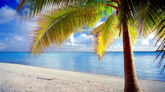 landscape, nature, sand, Rangiroa, French Polynesia, clouds, island, palm trees, tropical, beach, sea