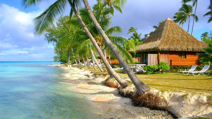 palm trees, sea, summer, nature, island, tropical, beach, landscape, bungalow