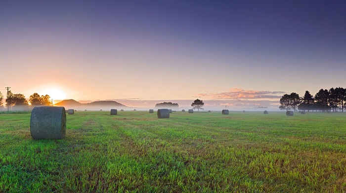 multiple display, mist, landscape, sunrise, haystacks