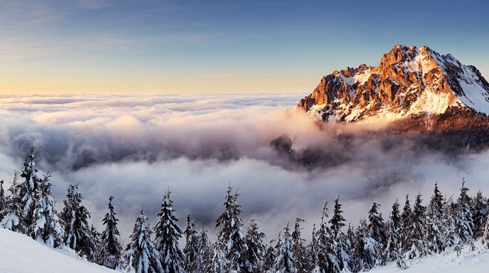 landscape, Slovakia, mountain, mist, multiple display, pine trees, winter