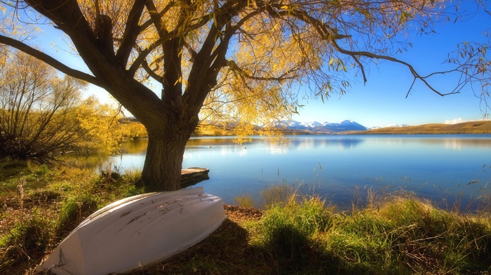 trees, lake, boat