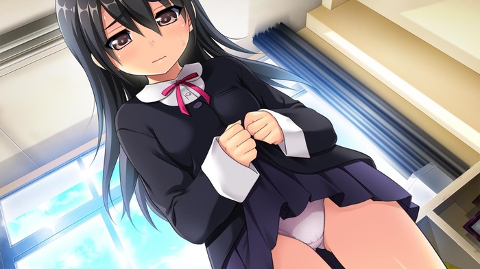 Shoujo Kyouiku, school uniform, Hinada Asami, visual novel, lifting skirt