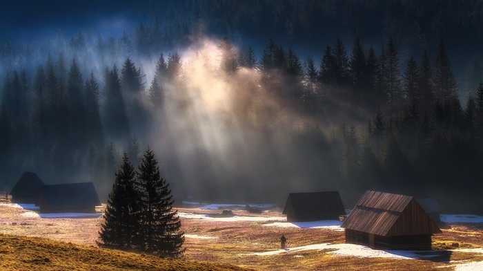 landscape, forest, sun rays, mist, sunrise, snow, trees, cabin, mountain, nature