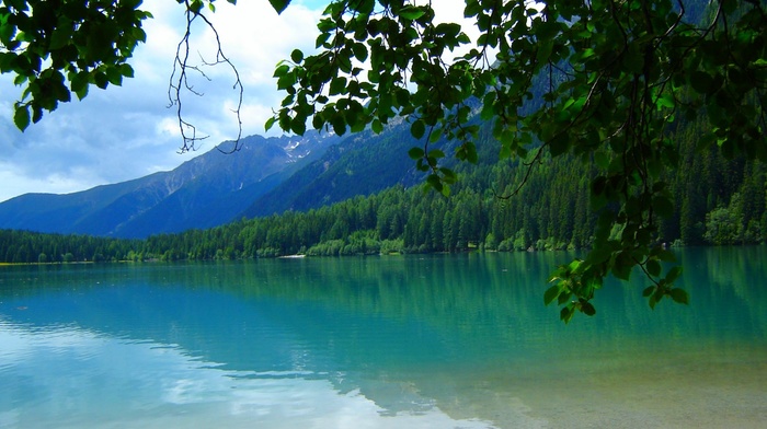 Italy, forest, Tyrol, green, nature, summer, trees, landscape, leaves, lake, mountain, water
