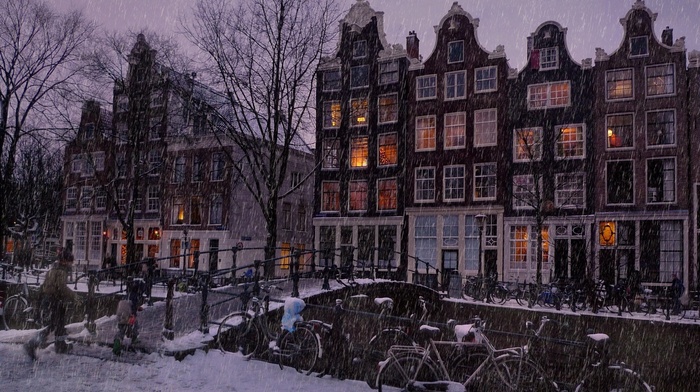 Netherlands, building, bridge, snow, Amsterdam, bicycle, city, winter, trees