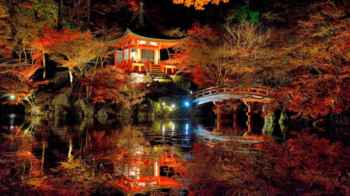 branch, bridge, leaves, rock, Asian architecture, trees, night, forest, fall, stairs, reflection, nature, lights, Japan, lake, water