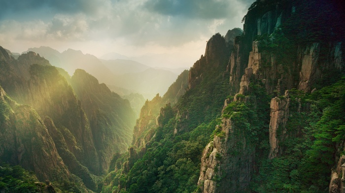 forest, mountain, mist, sunrise, China, canyon, clouds, landscape, nature, sun rays
