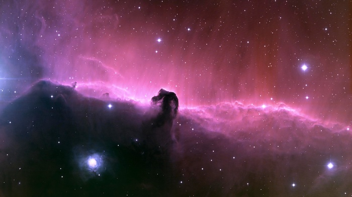 Horsehead Nebula, stars, space