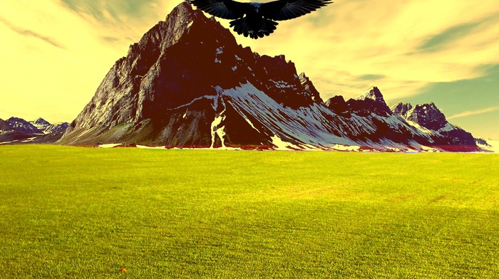 landscape, mountain, grass, sunset, raven