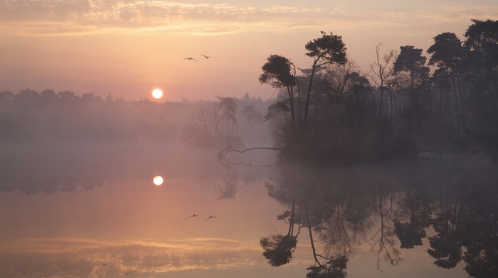 sunrise, reflection, sky, water, clouds, atmosphere, calm, nature, flying, trees, island, landscape, lake, birds, mist
