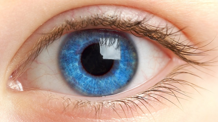 retina, pupil, eyes, blue eyes