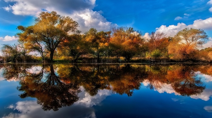 shrubs, fall, lake, clouds, trees, landscape, calm, blue, water, nature, reflection