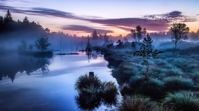 calm, river, shrubs, Europe, landscape, nature, blue, morning, Germany, sunrise, water, reflection, mist, trees