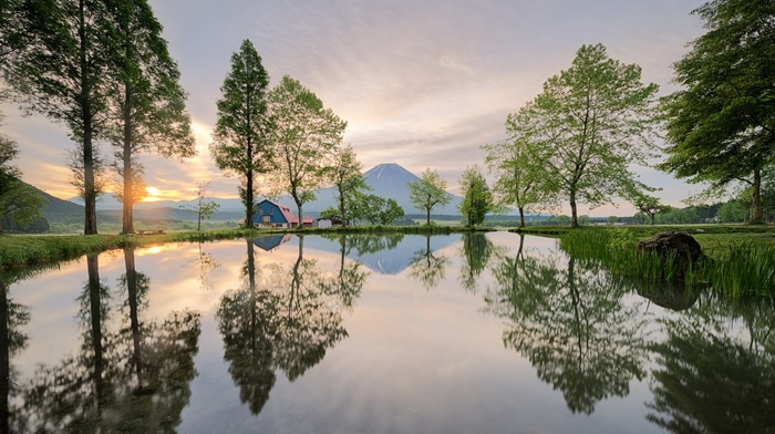 mountain, Japan, landscape, sunrise, nature, trees, water, pond, spring, grass, reflection