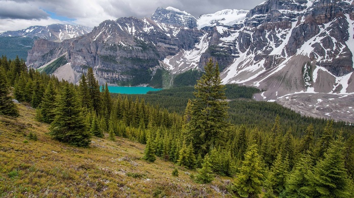 green, mountain