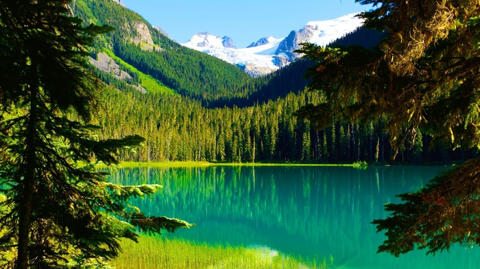 landscape, Canada, nature, snowy peak, British Columbia, reflection, summer, mountain, trees, forest, pine trees, water, lake