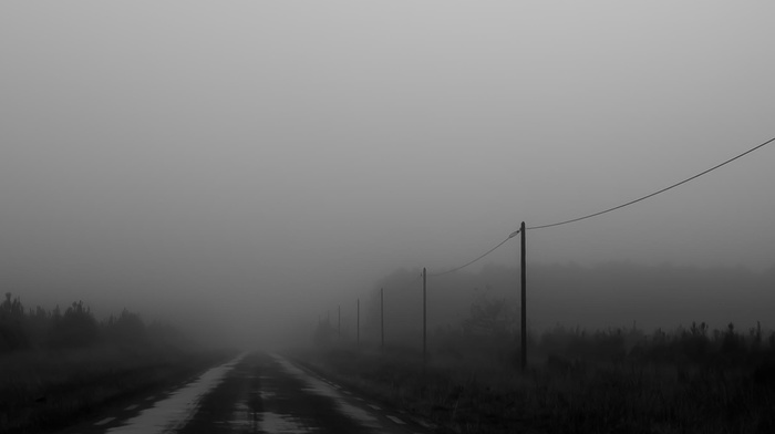 road, mist, landscape, monochrome