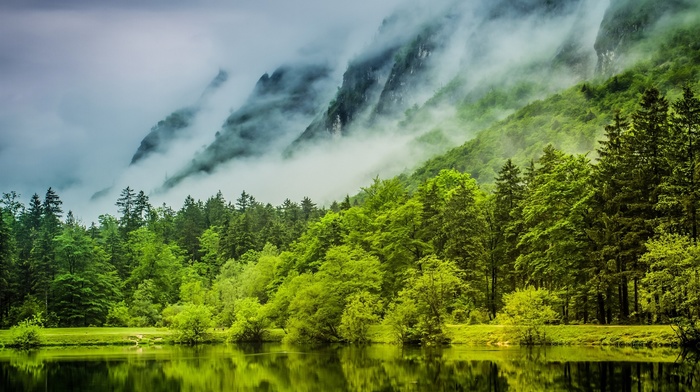 forest, lake, nature, Germany, landscape, trees, spring, mountain, water, green, mist, clouds