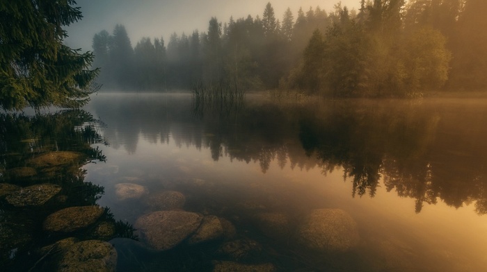 stones, river, reflection, nature, trees, water, Finland, calm, landscape, forest, sunrise, mist