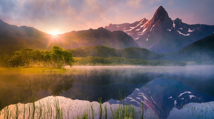 mist, trees, sunrise, summer, Norway, nature, lake, reflection, landscape, forest, water, wildflowers, mountain