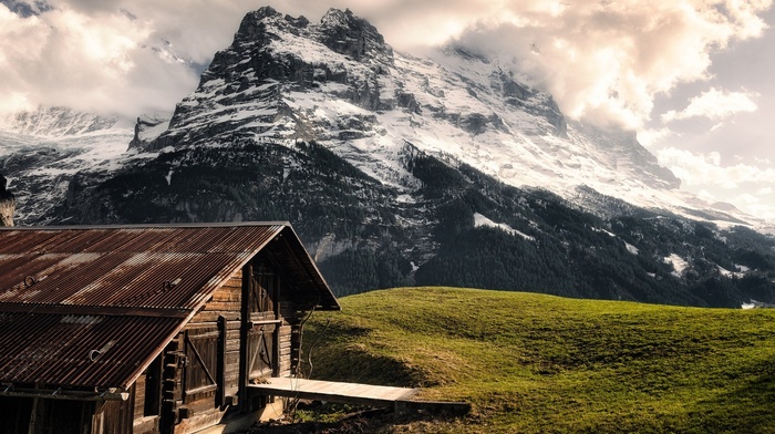 forest, Switzerland, Alps, mountain, nature, grass, landscape, clouds, snowy peak, cabin