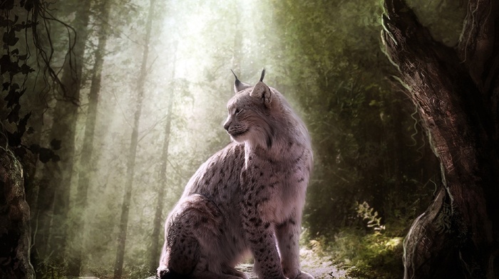 animals, lynx, fantasy art