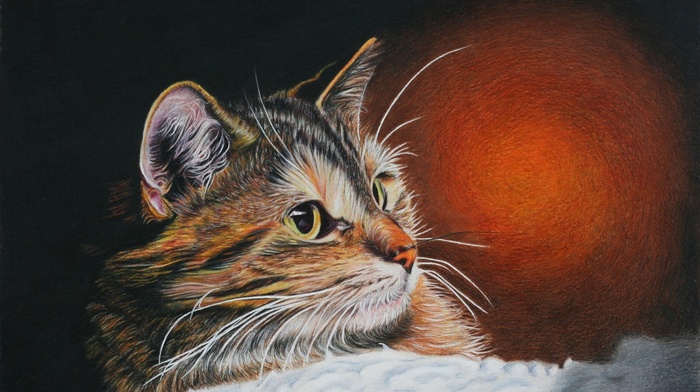painting, cat