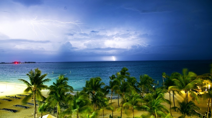 lightning, palm trees, clouds, sea