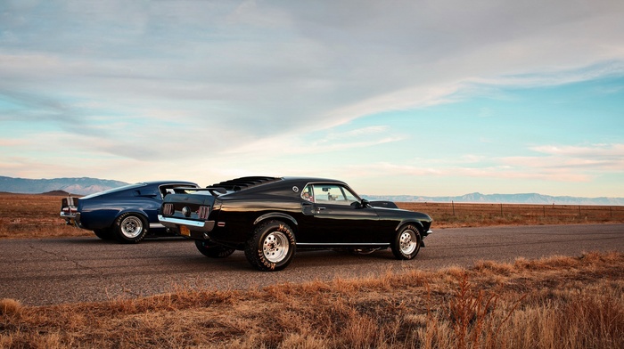 cars, Ford Mustang, Shelby GT500