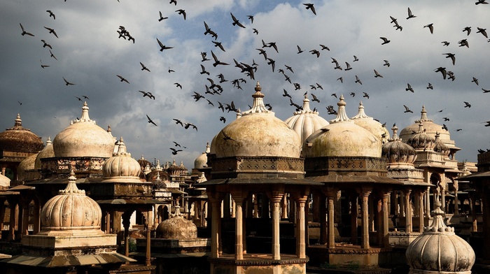 India, architecture, city, dome, birds