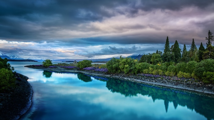 trees, calm, overcast, clouds, nature, river, water, landscape, wildflowers