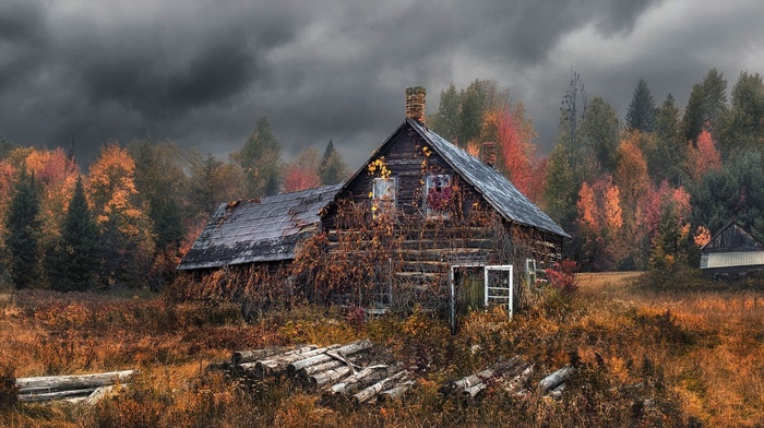 clouds, trees, nature, dry grass, Hansel and Gretel, fall, landscape, forest, cabin