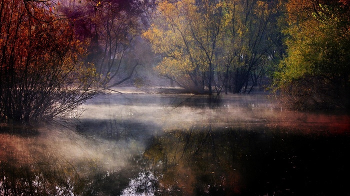 forest, fall, nature, colorful, water, mist, Croatia, shrubs, trees, landscape, lake, reflection