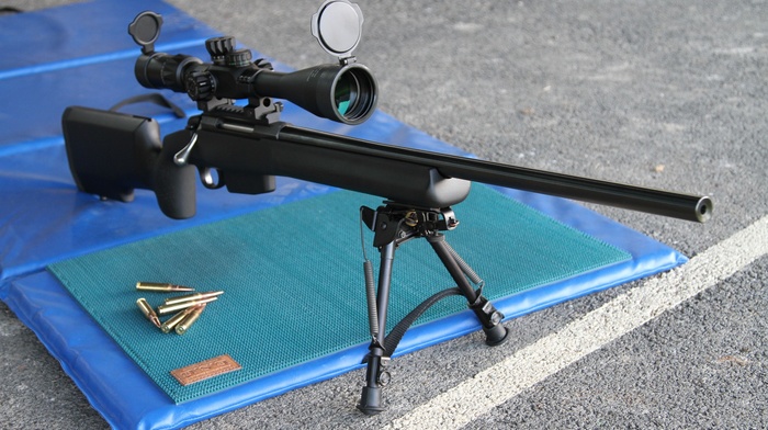7.62x51, Target rifle, sniper rifle, gun