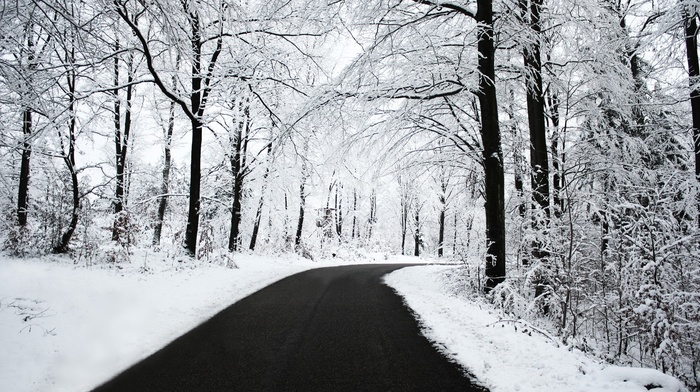nature, road, winter, snow