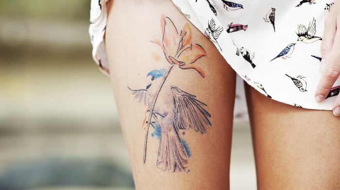 tattoo, legs, birds, girl